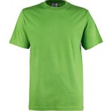 Basic T-Shirt TJ1000 Kiwi